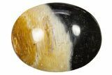 Polished Petrified Palm Root Pocket Stones - Photo 4